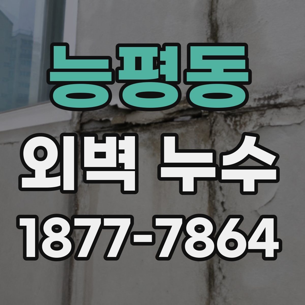 능평동 외벽 누수
