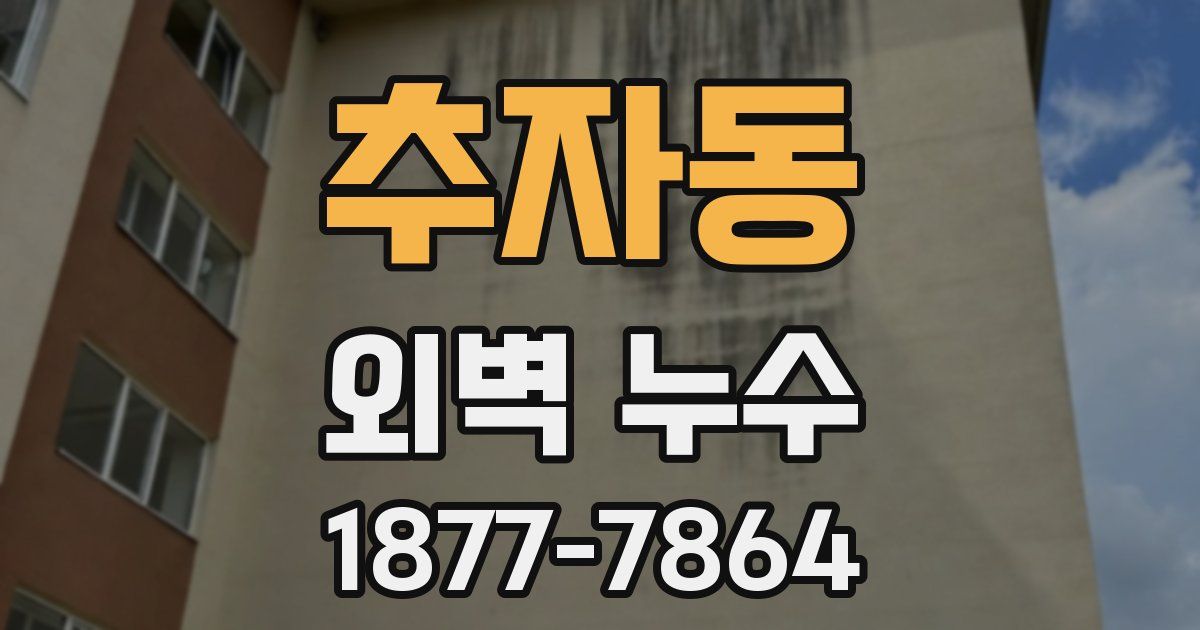 추자동 외벽 누수