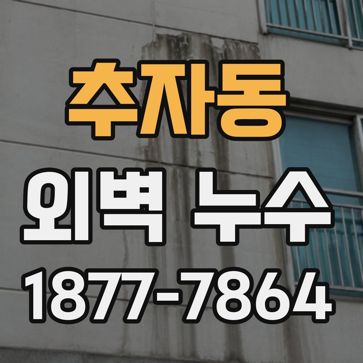 추자동 외벽 누수