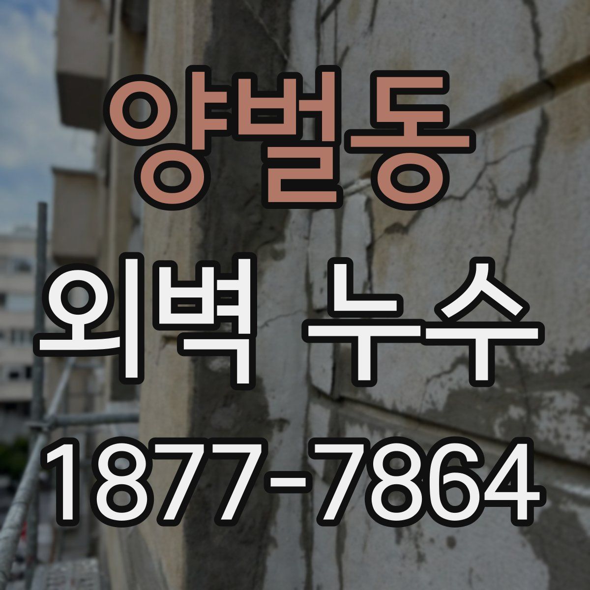 양벌동 외벽 누수