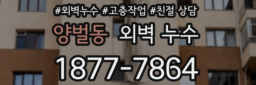 양벌동 외벽 누수