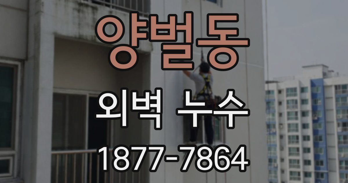 양벌동 외벽 누수