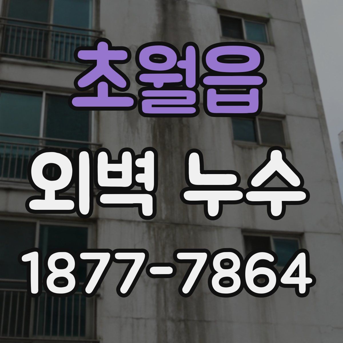 초월읍 외벽 누수 공사 방식 선택 시 참고할 기준