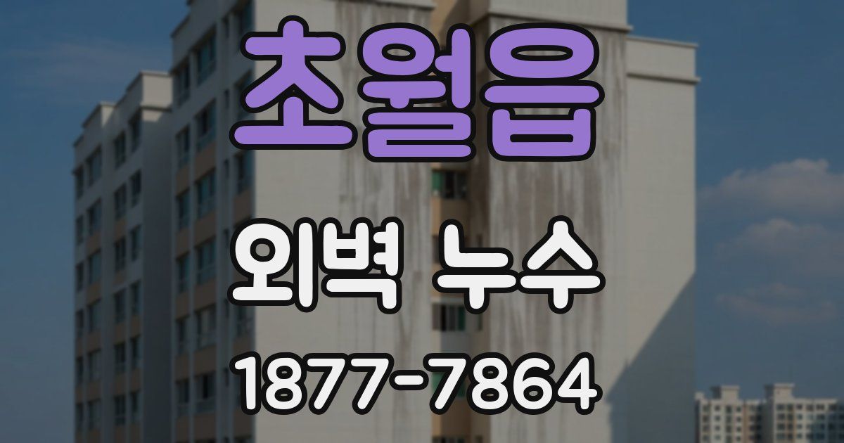 초월읍 외벽 누수
