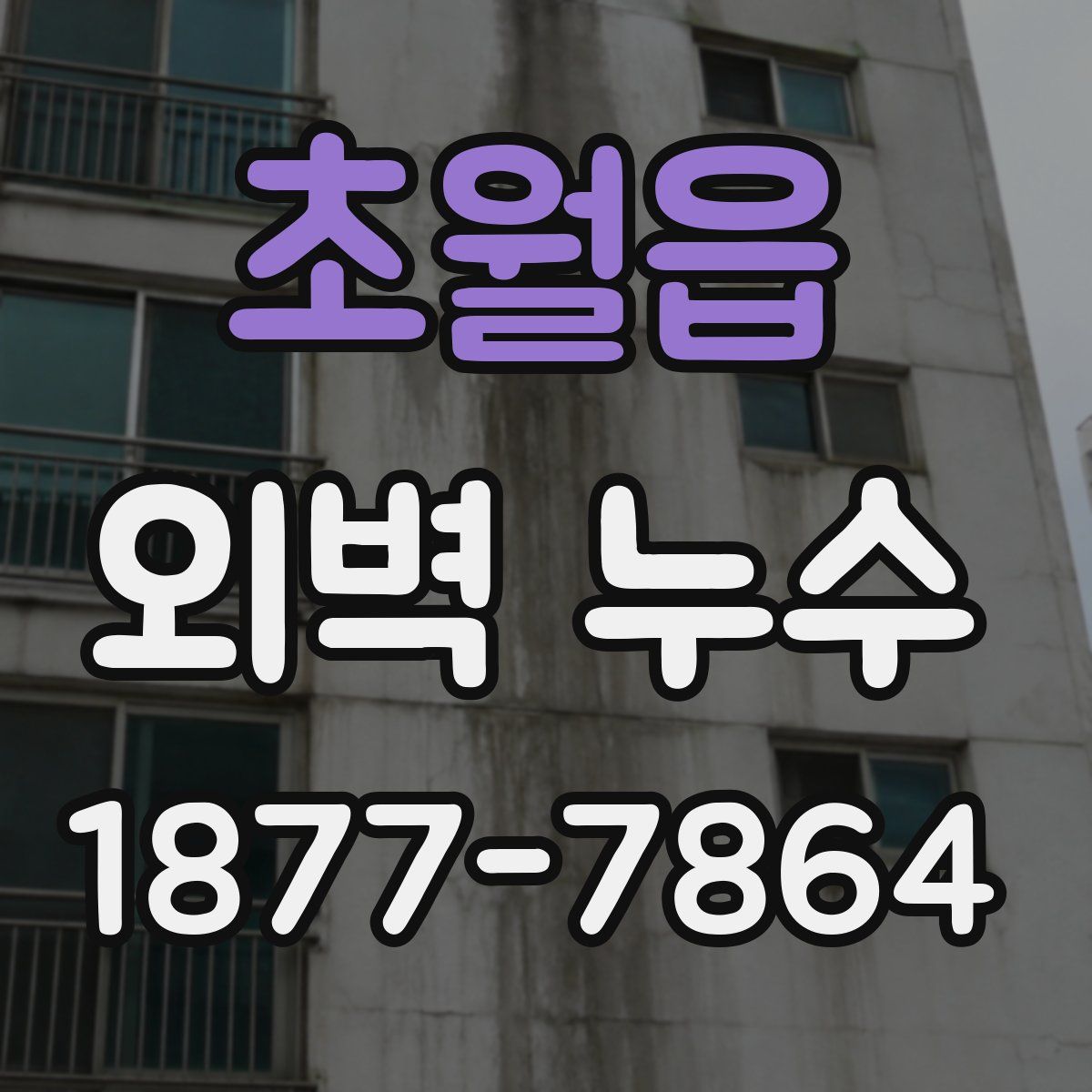 초월읍 외벽 누수