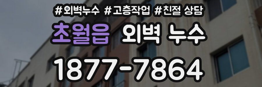 초월읍 외벽 누수