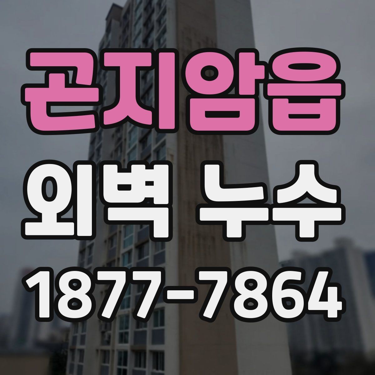 곤지암읍 외벽 누수 점검 시 함께 보면 좋은 주변 요소