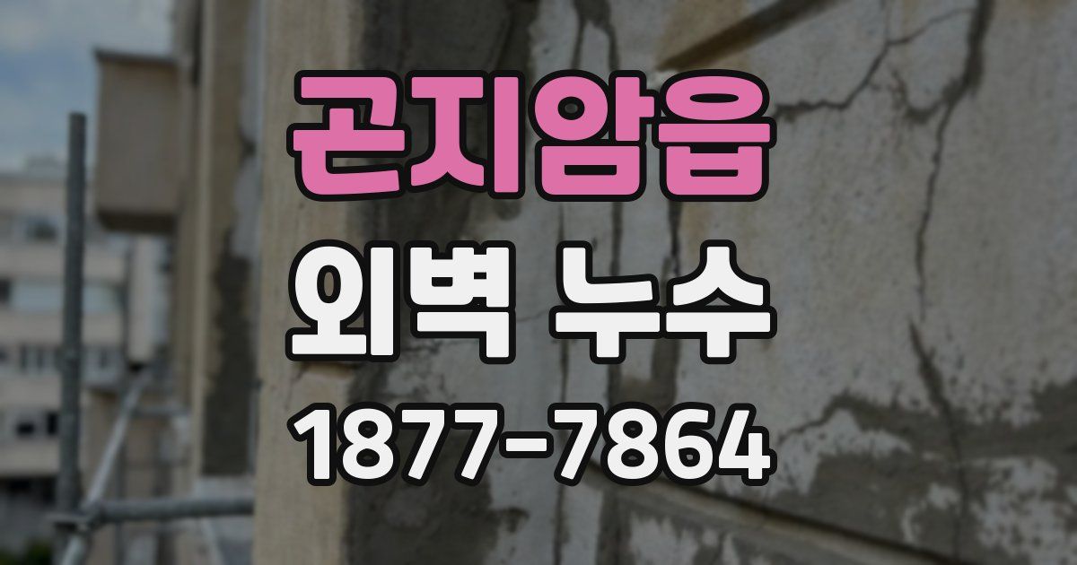 곤지암읍 외벽 누수
