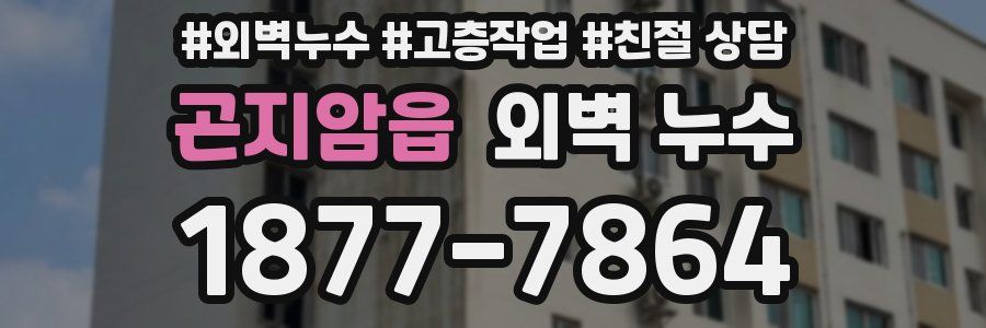 곤지암읍 외벽 누수