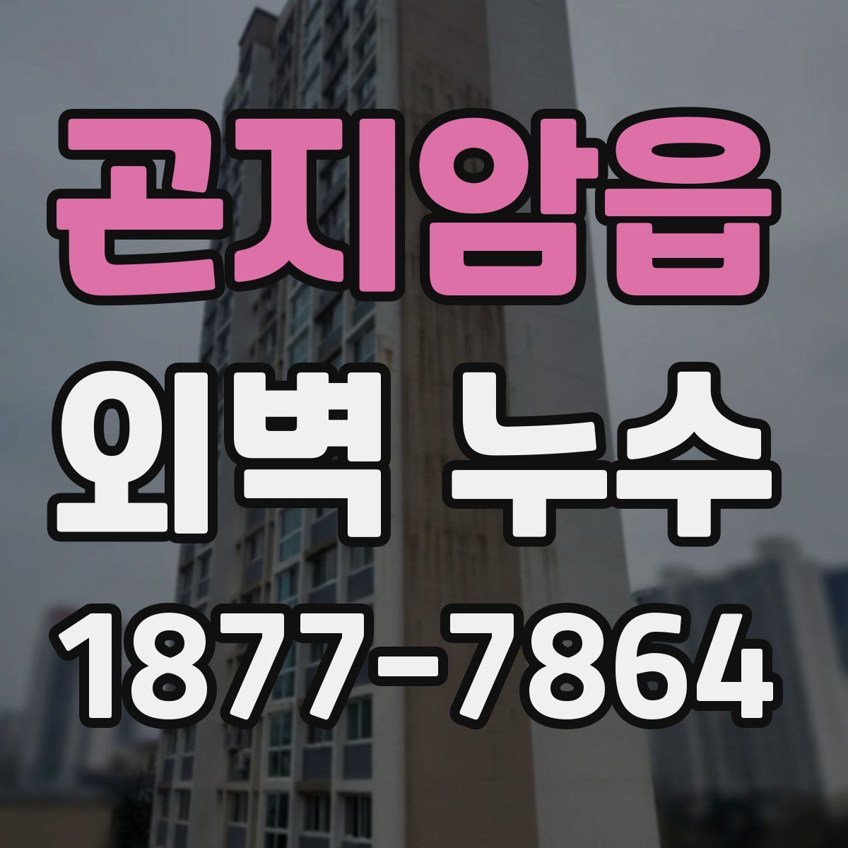 곤지암읍 외벽 누수