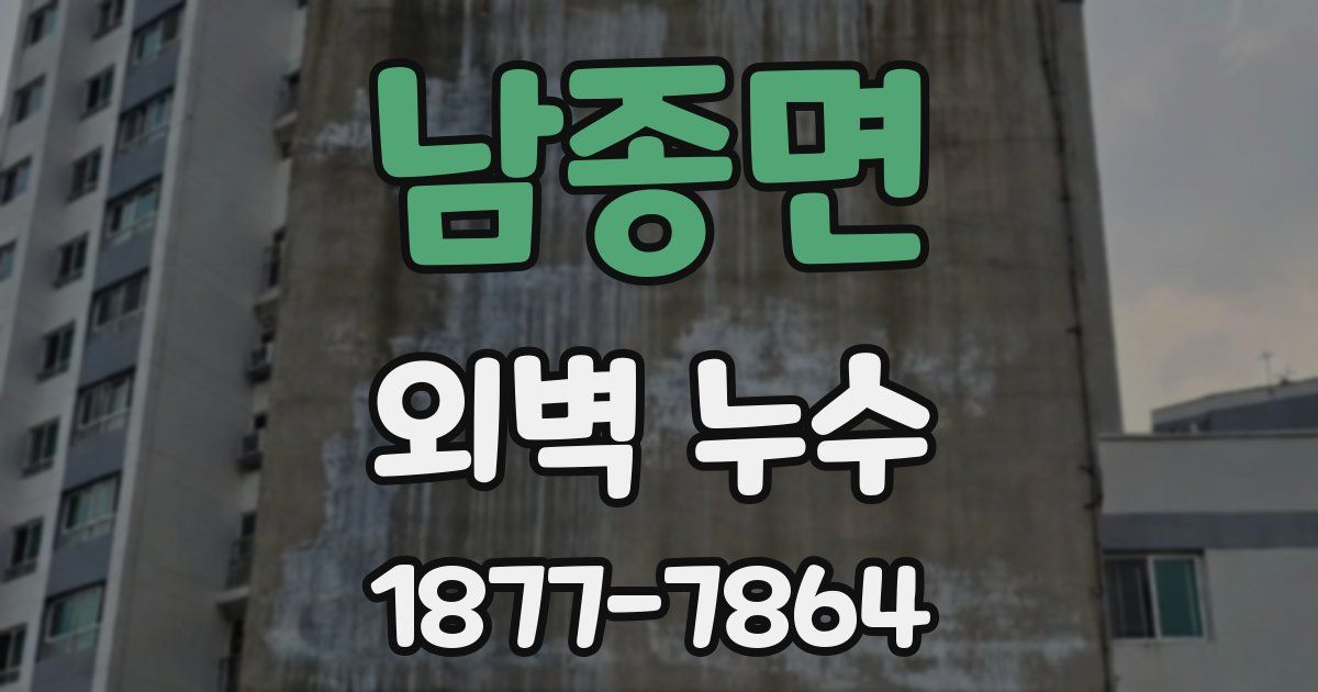 남종면 외벽 누수