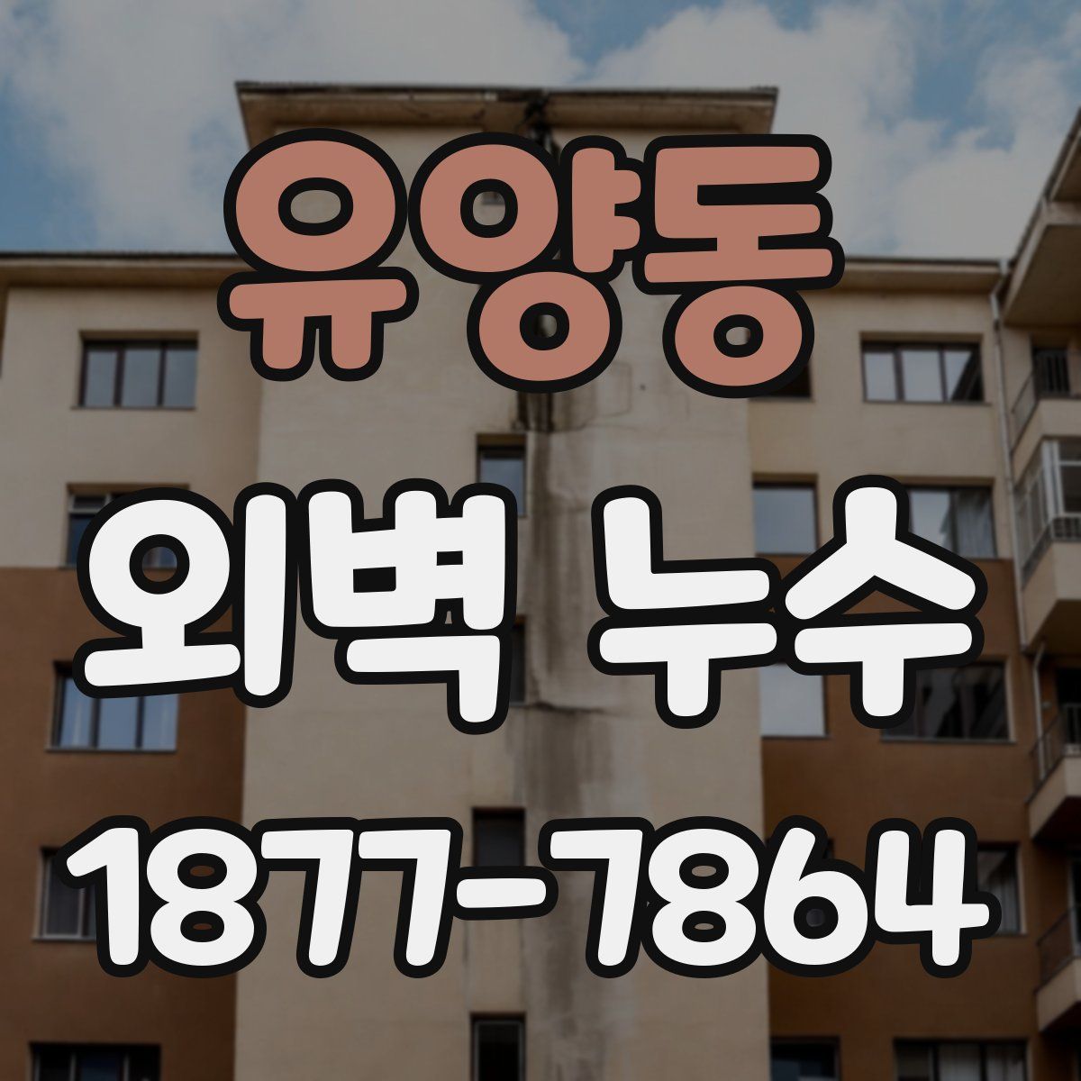 유양동 외벽 누수