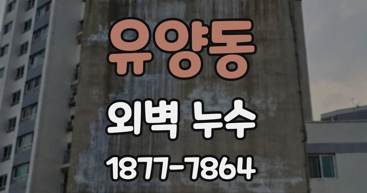 유양동 외벽 누수