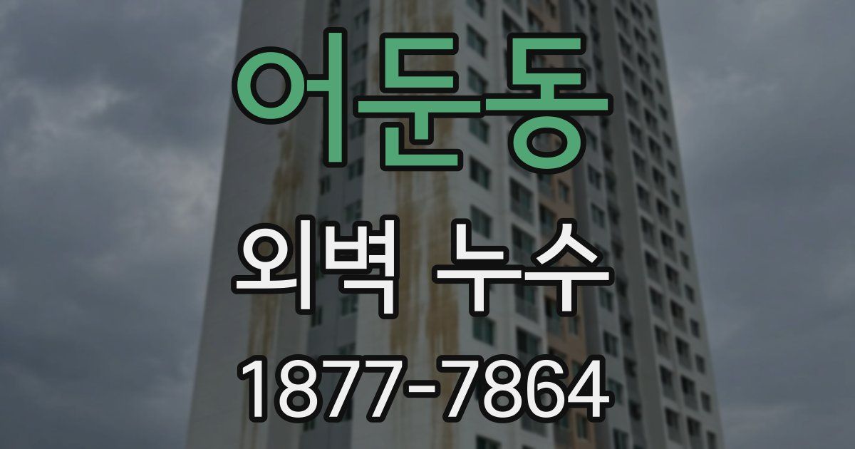 어둔동 외벽 누수