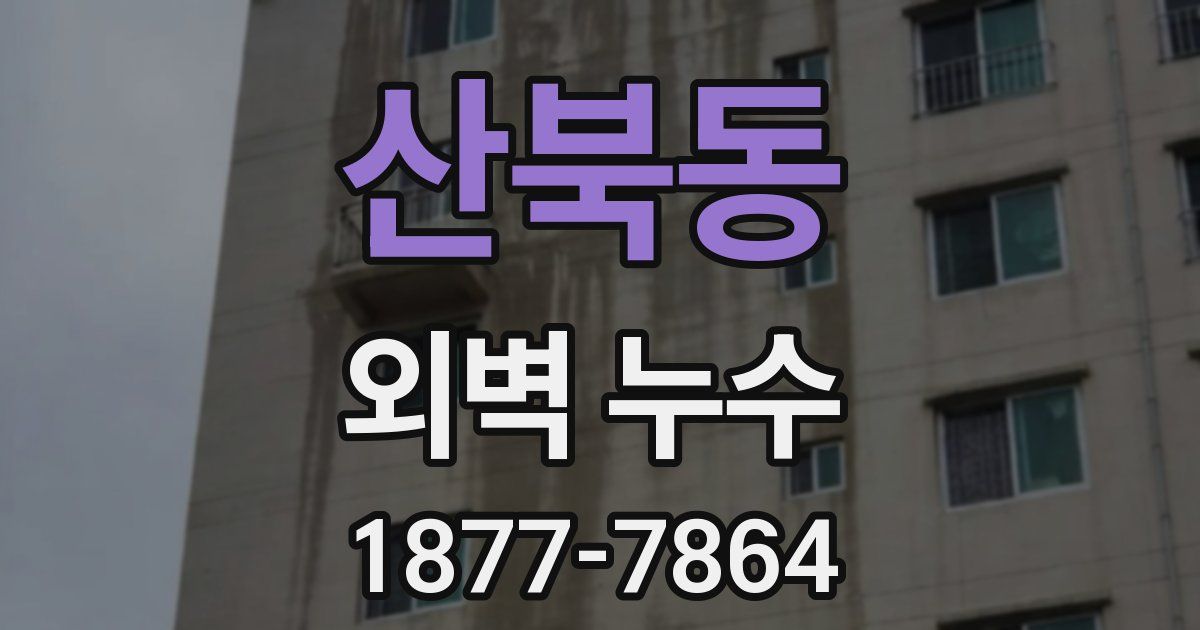 산북동 외벽 누수