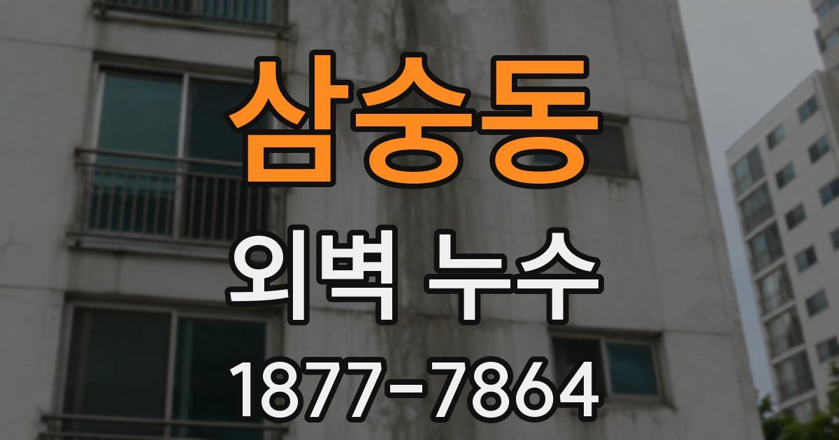 삼숭동 외벽 누수