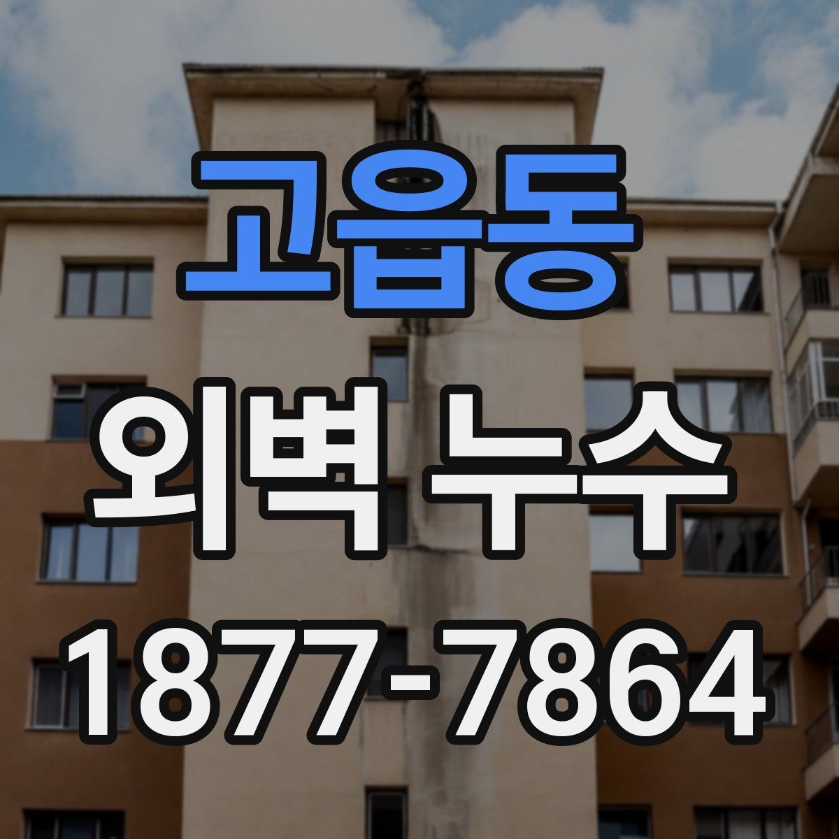 고읍동 외벽 누수