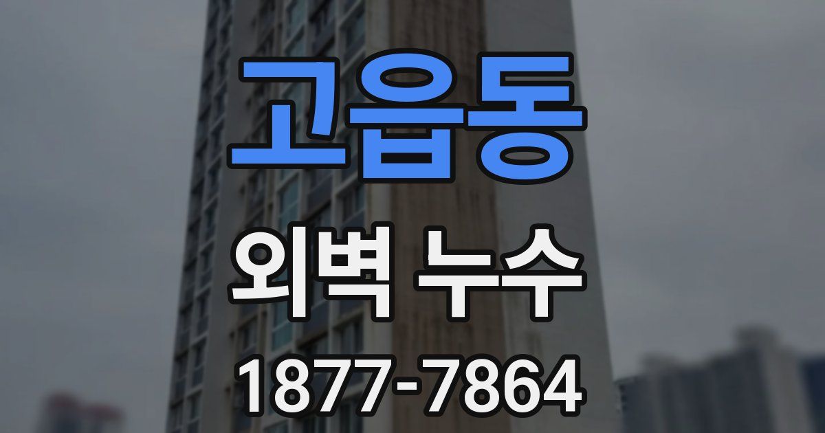 고읍동 외벽 누수