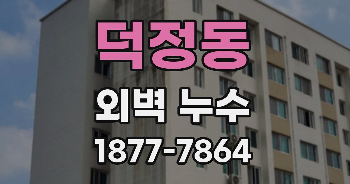 덕정동 외벽 누수