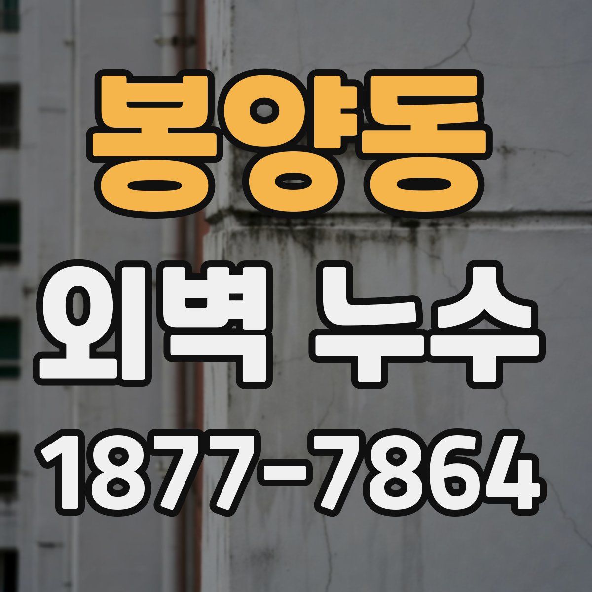 봉양동 외벽 누수