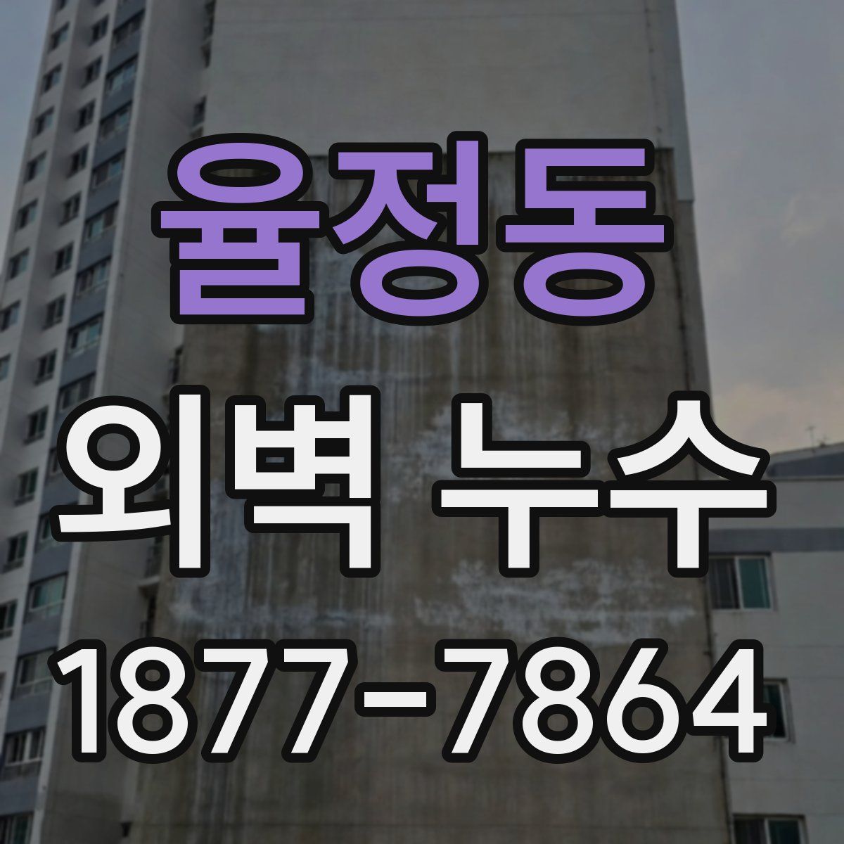 율정동 외벽 누수