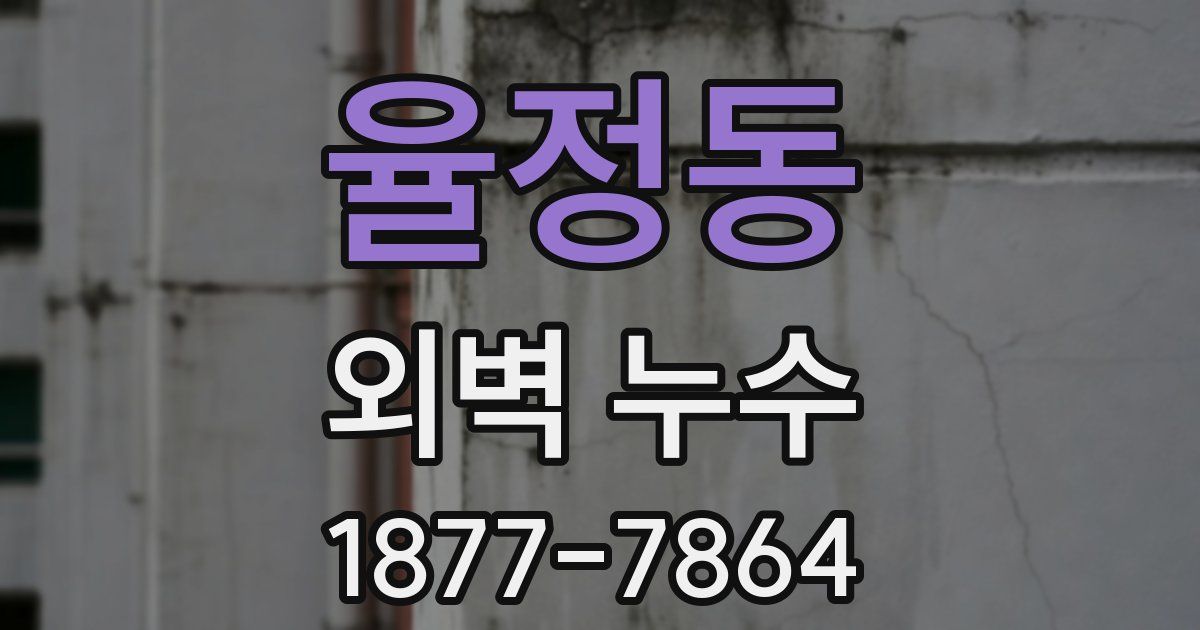 율정동 외벽 누수