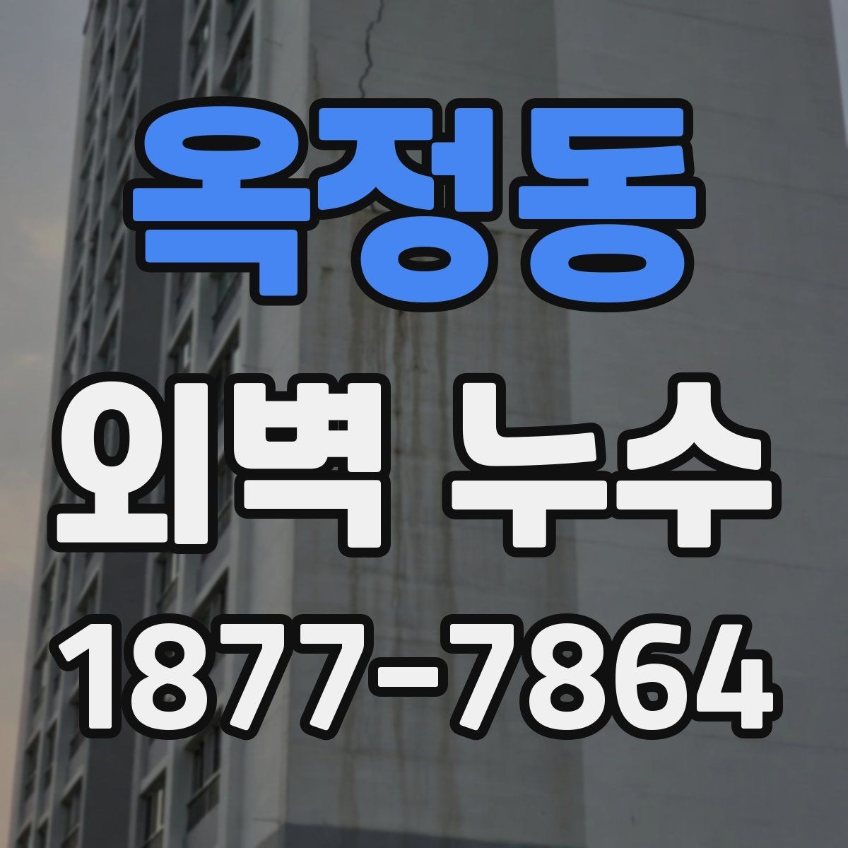 옥정동 외벽 누수 원인을 찾기 위한 단계별 확인