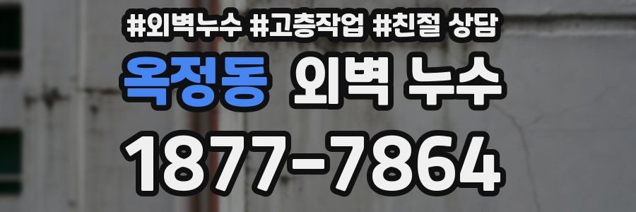 옥정동 외벽 누수
