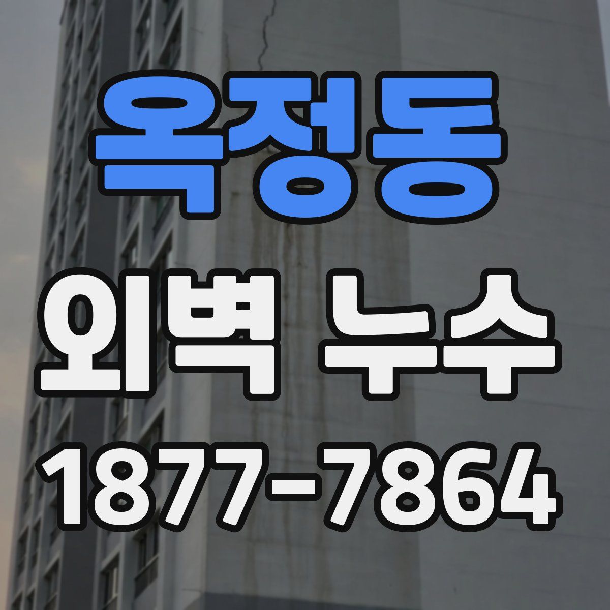 옥정동 외벽 누수