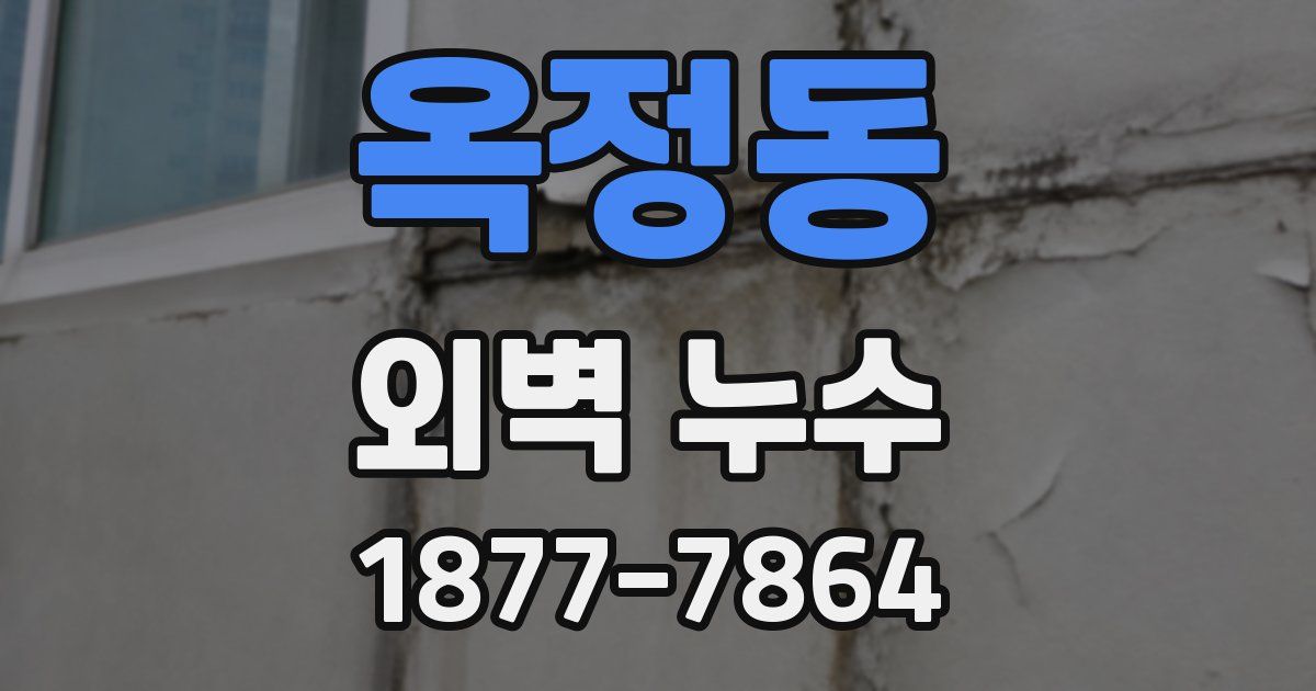 옥정동 외벽 누수