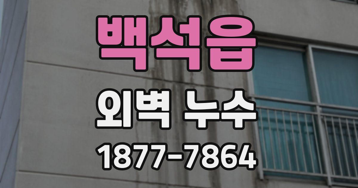 백석읍 외벽 누수