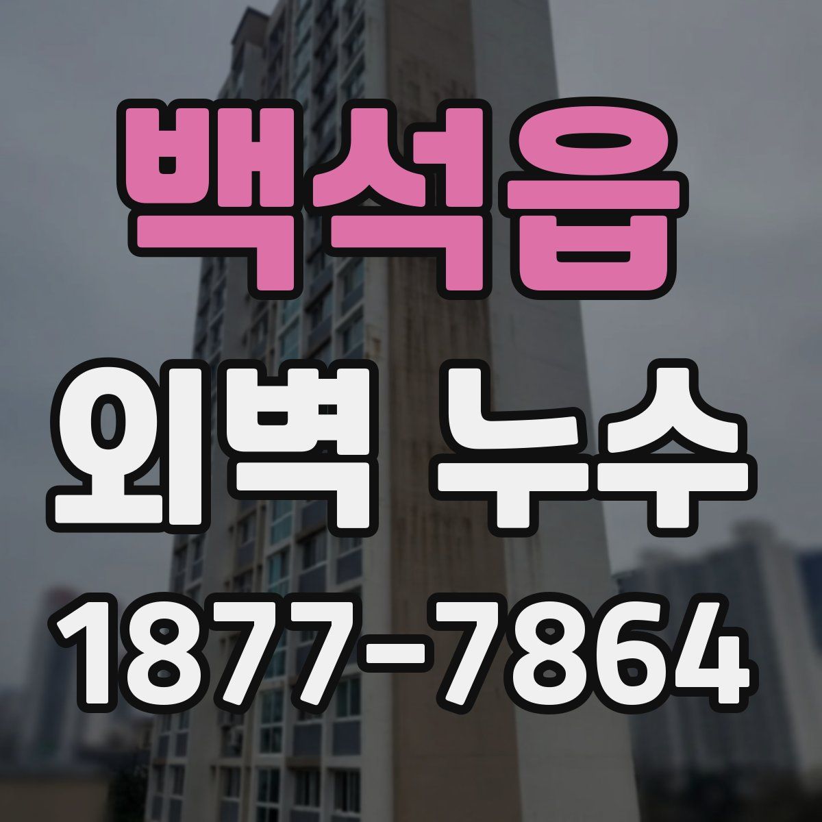 백석읍 외벽 누수