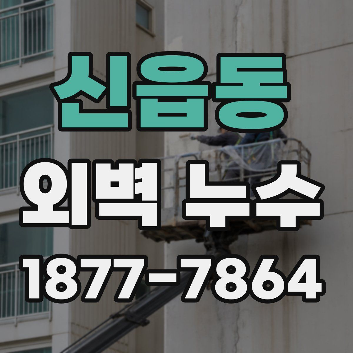 신읍동 외벽 누수