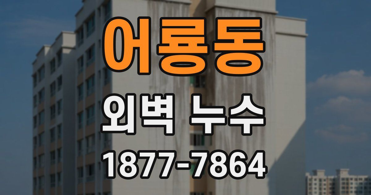 어룡동 외벽 누수