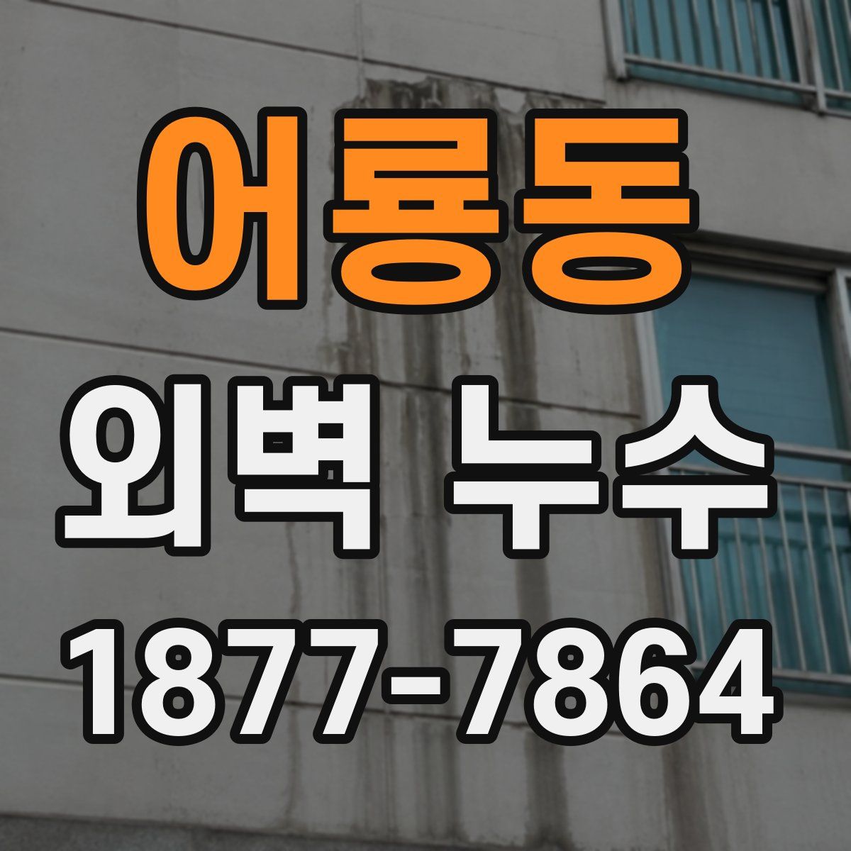 어룡동 외벽 누수