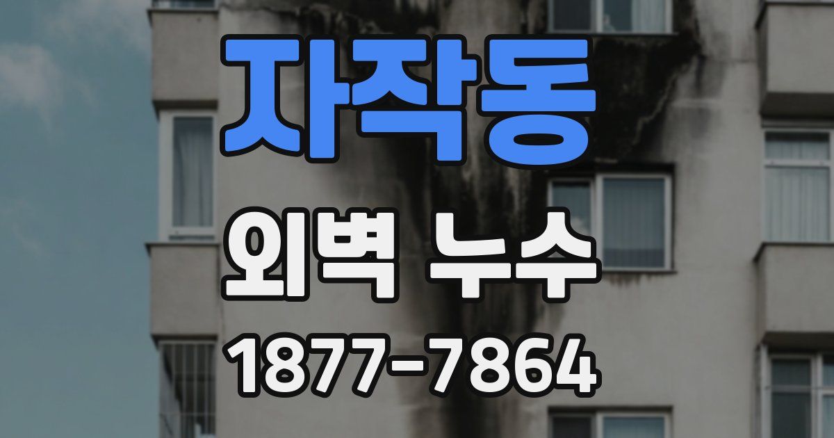 자작동 외벽 누수