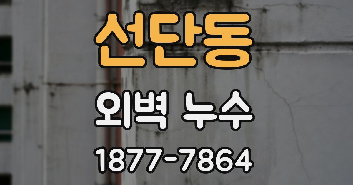 선단동 외벽 누수
