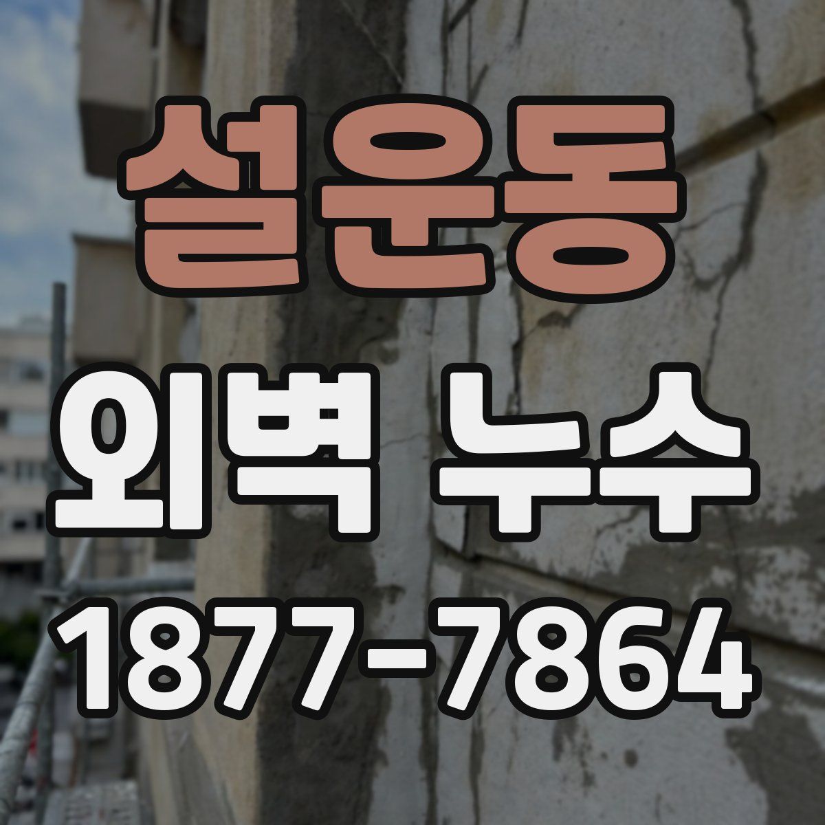 설운동 외벽 누수