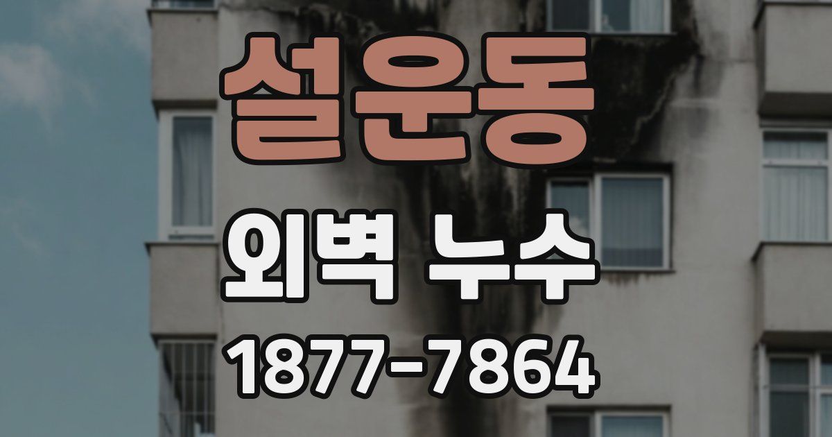 설운동 외벽 누수