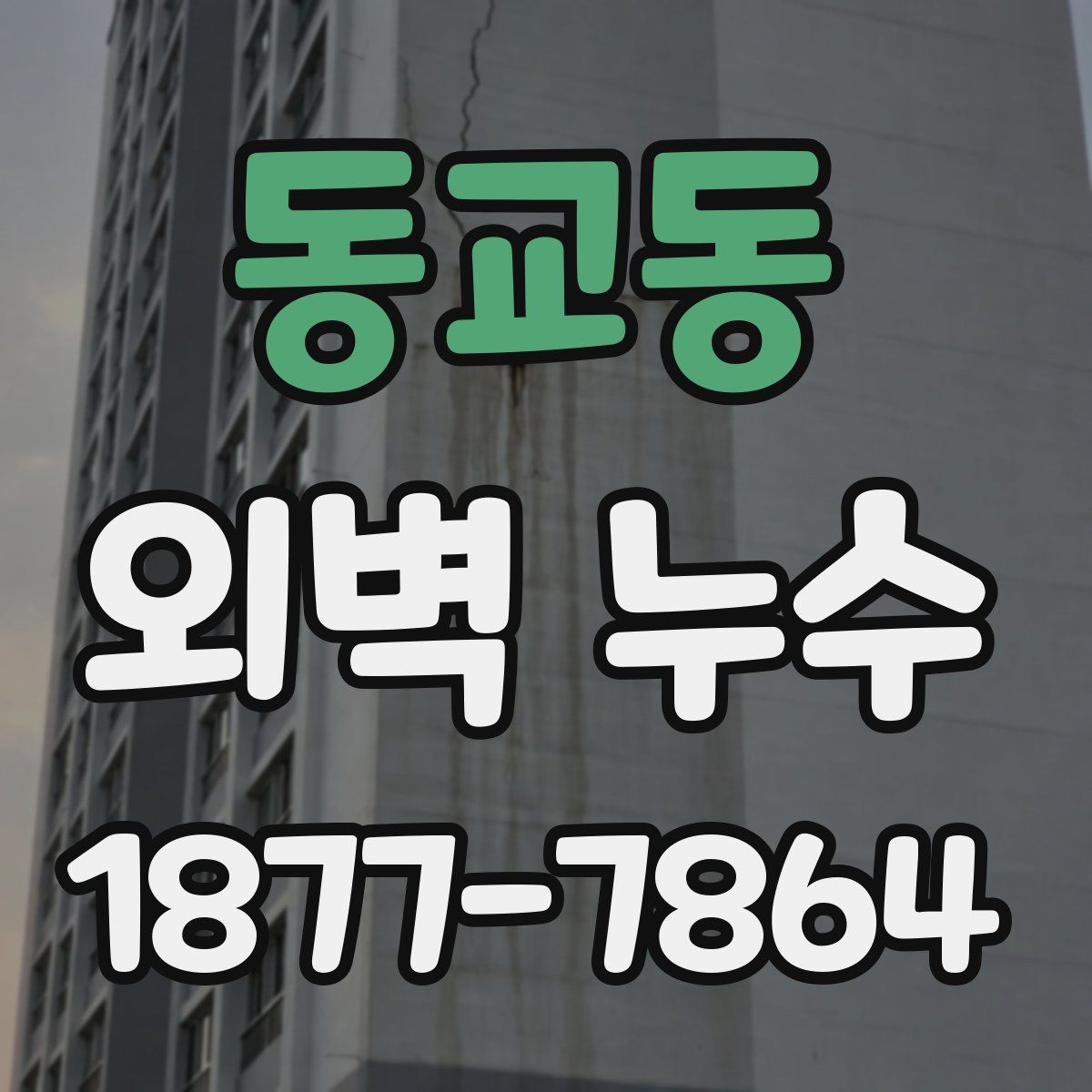 동교동 외벽 누수