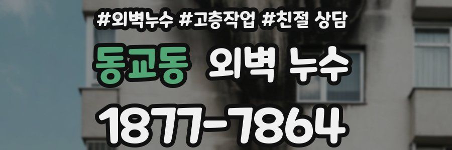 동교동 외벽 누수