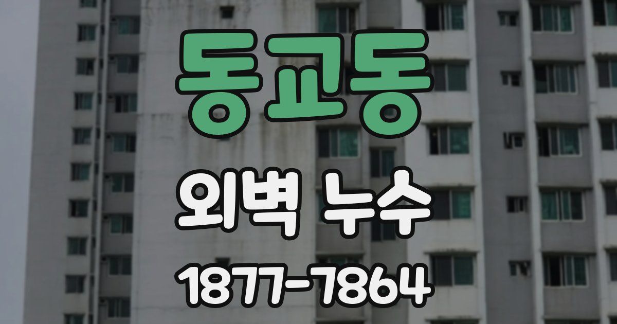 동교동 외벽 누수