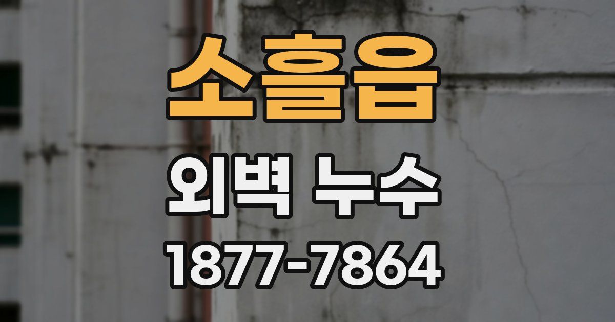 소흘읍 외벽 누수