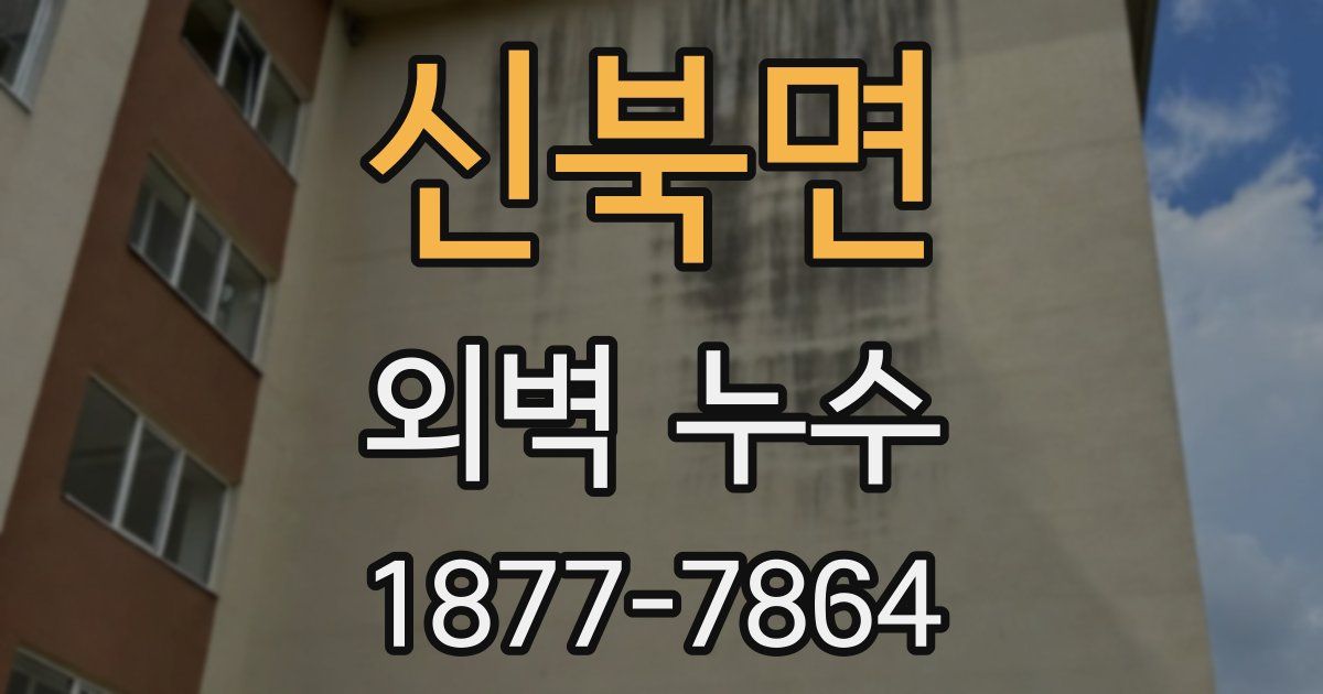 신북면 외벽 누수
