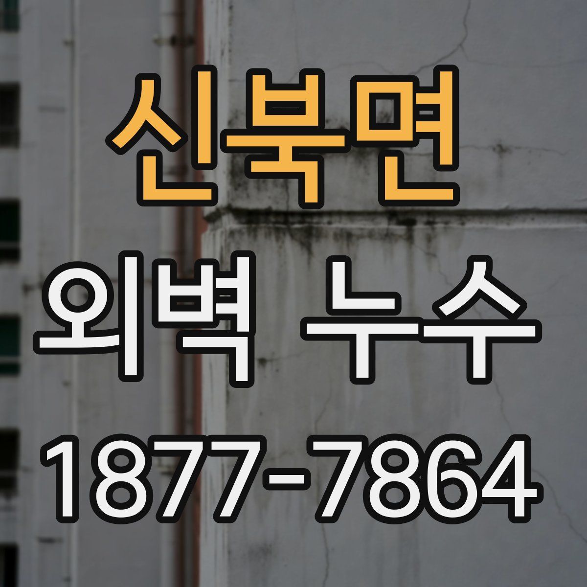 신북면 외벽 누수
