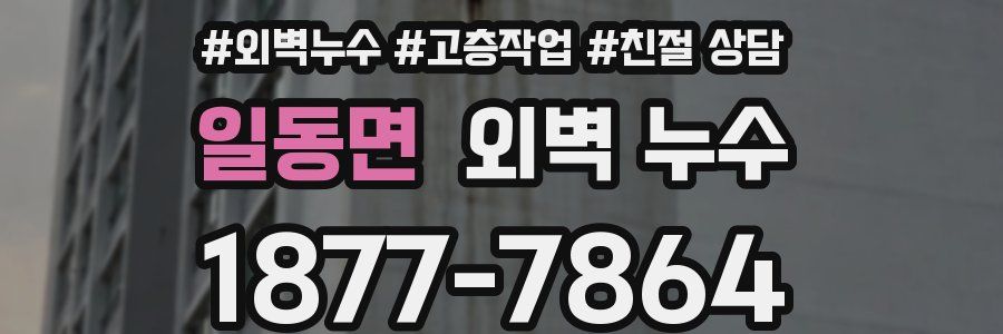 일동면 외벽 누수