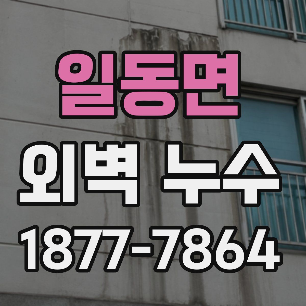 일동면 외벽 누수