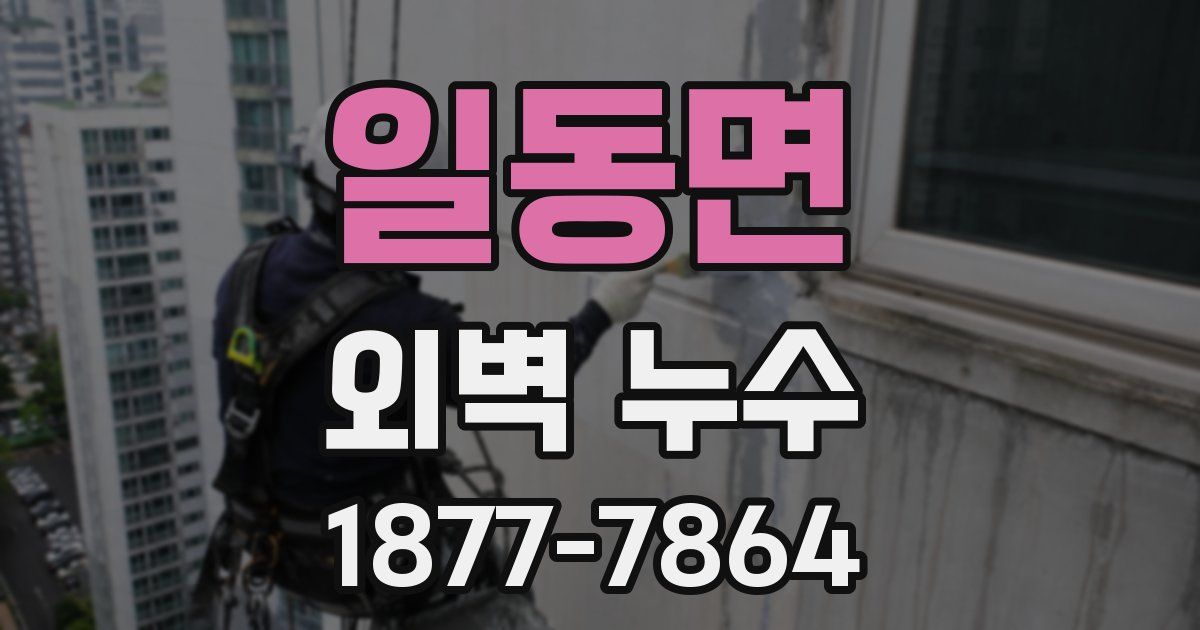 일동면 외벽 누수