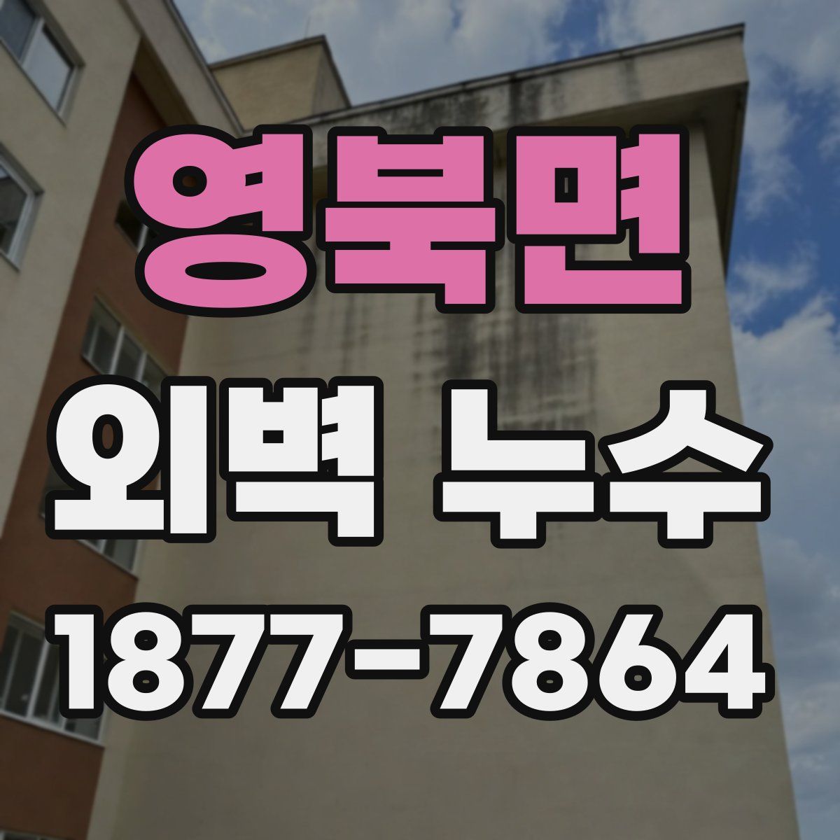 영북면 외벽 누수