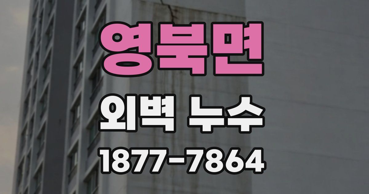 영북면 외벽 누수